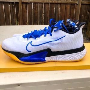 Nike BB air zoom
